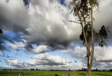 九游体育直播-河床防守体系调整，力求守住关键战局