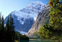 九游娱乐网页-竞逐巅峰:当心跳与秒表同频,赛场之上皆是传奇