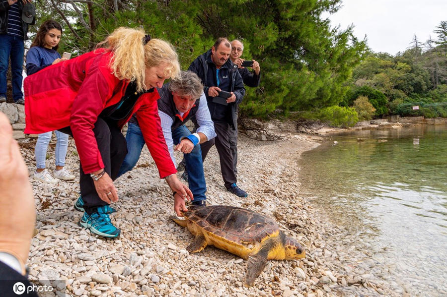 九游娱乐网站-克罗地亚游泳选手时速超越,金牌暴风骤雨的简单介绍