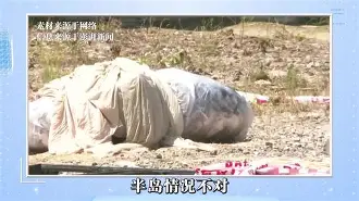 九游娱乐app下载-黄海航海客场遭遇挫败,积分下滑