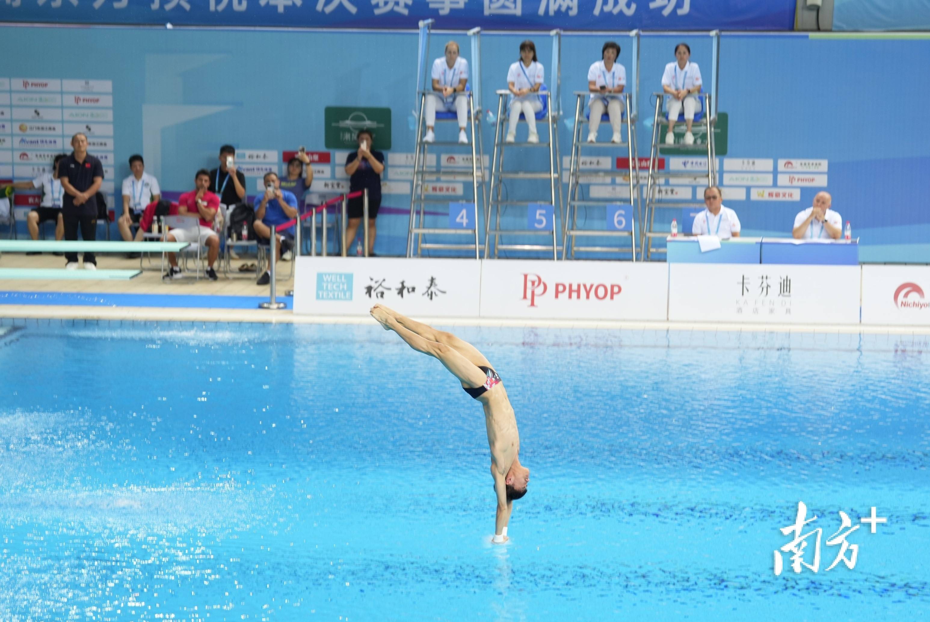 跳水运动员表现出色,备战全力冲刺 跳水运动员表现出色,备战全力冲刺