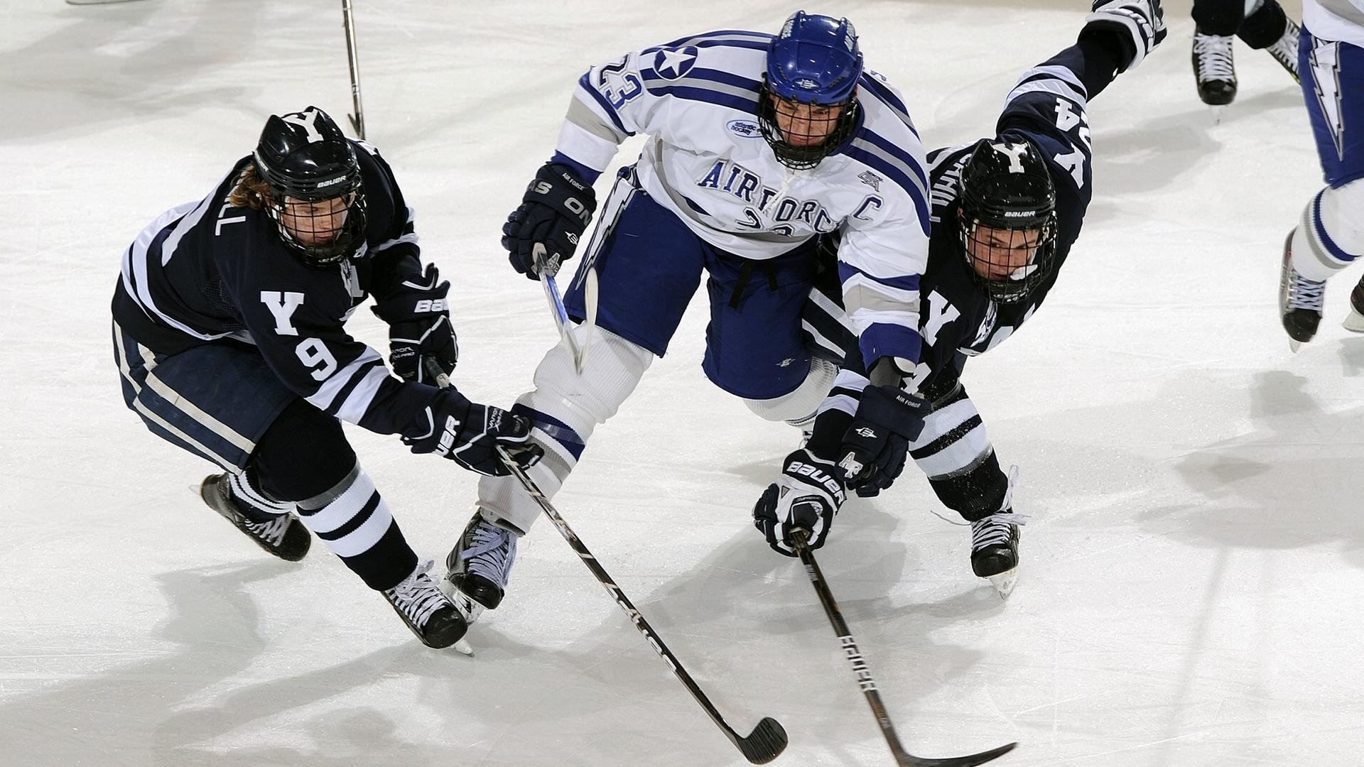 东方智慧编织节奏迷宫，上海队以柔克刚智取黄蜂